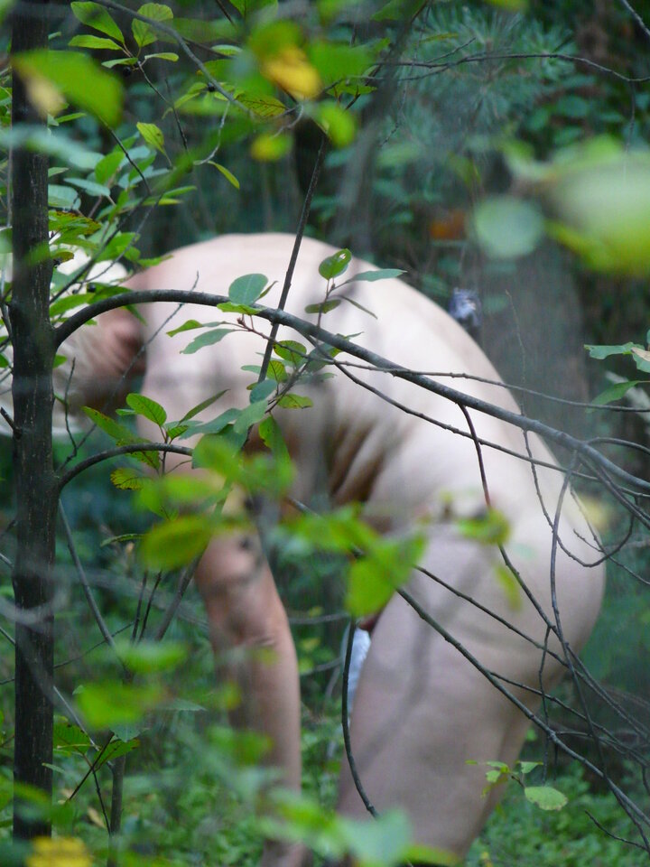 P1090534.JPG - gosska176