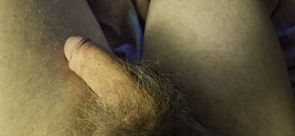 1000021353.jpg - TomekMisiek12345