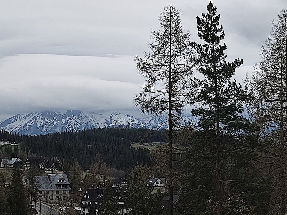 IMG_20240406_065716.jpg - _Enigma_tyczna_