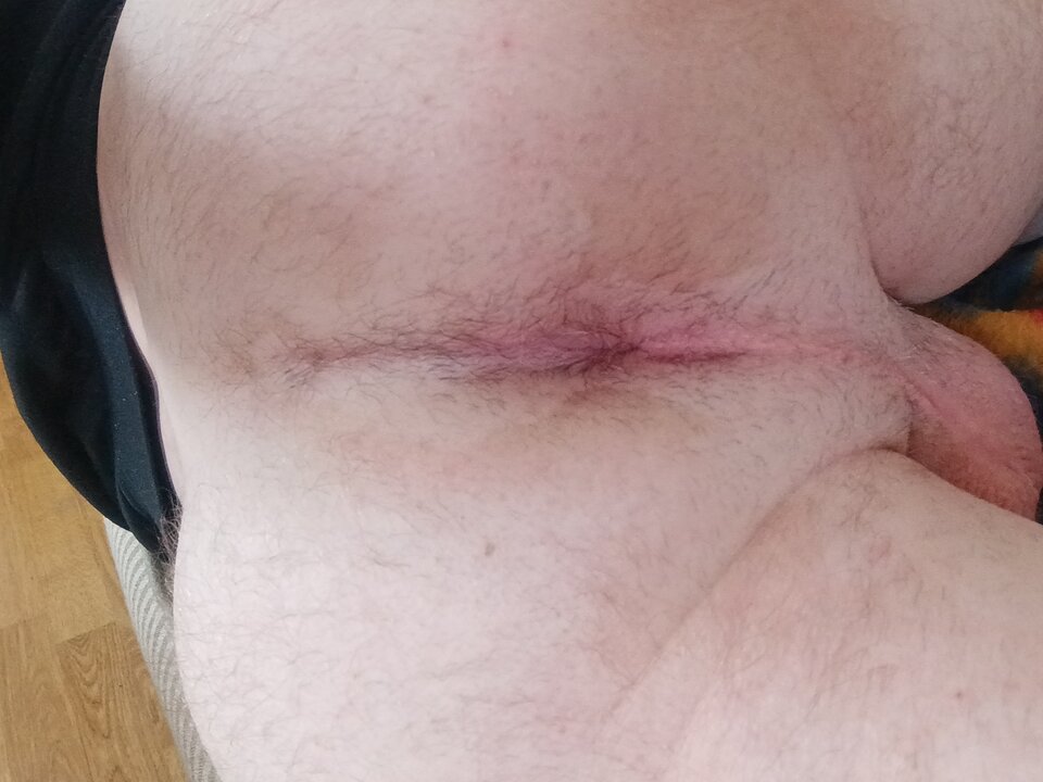 17124018617723220805640414655988.jpg - Palciusia