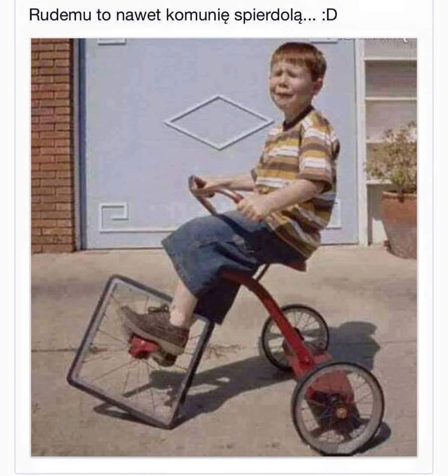 IMG_4353.jpeg - BoskiRafaello