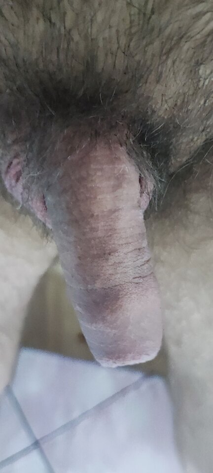 IMG_20240407_001755.jpg - milyon1983