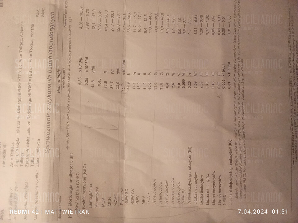 17124473924001431791678193977750.jpg - SicilianINC