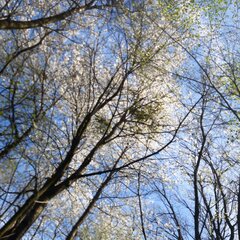 20240407_122906.jpg