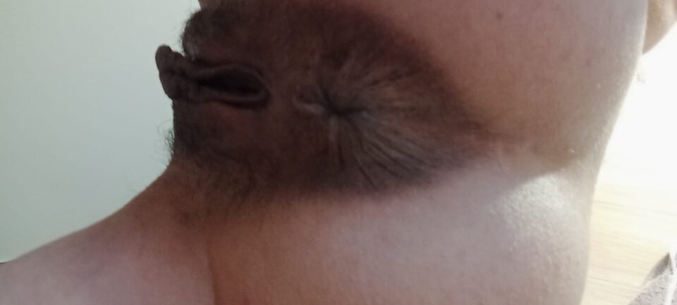 IMG-20240330-WA0005.jpg - DawniejANDIKS1