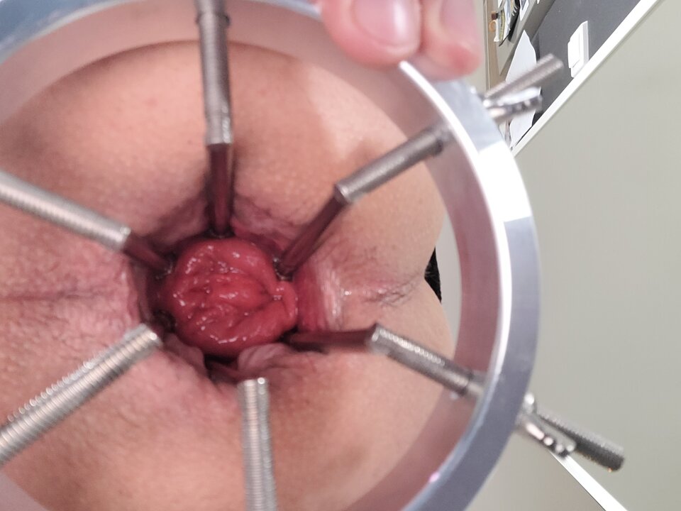 20240408_121828.jpg - vestis1987