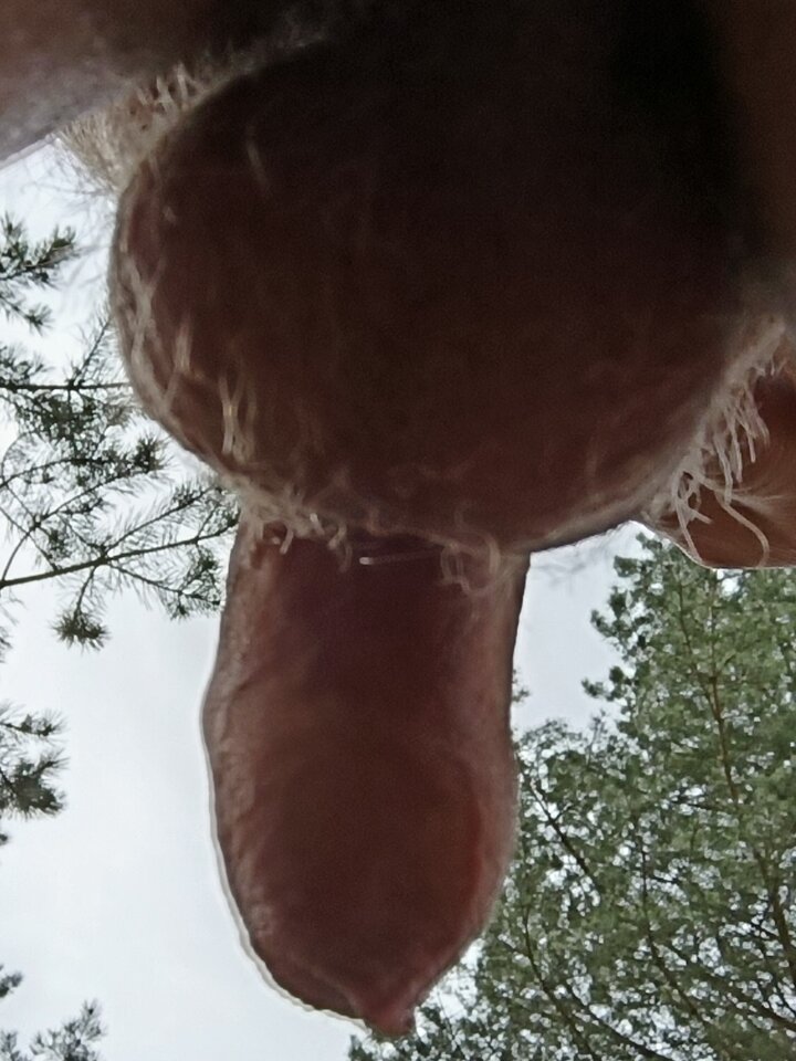 IMG_20240408_144534~2.jpg - ardas1