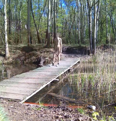 20240409_091234A.mp4_snapshot_00.28.800.jpg