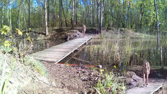 20240409_091234A.mp4_snapshot_00.55.982.jpg