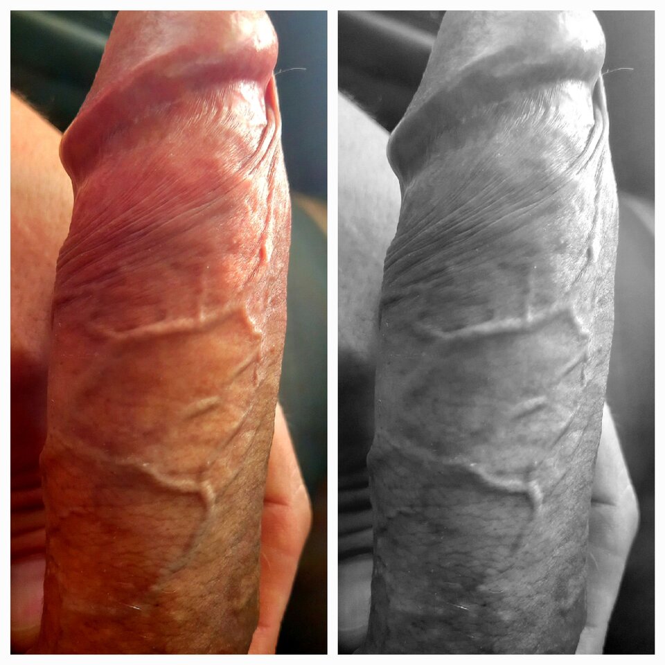 20240409_164128.jpg - Andrzejek_72