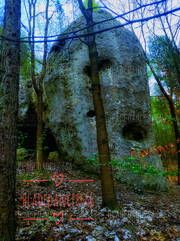 1000032774-01.jpeg - Bladedancer666