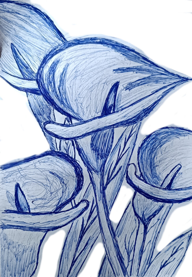 IMG_20240328_213247.jpg - Koordynator1987