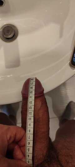 IMG_20240410_081923.jpg