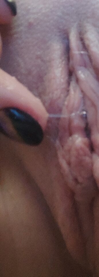 IMG_20240410_145348.jpg - Puch_chatka