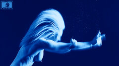 Flour WMB Blue 9549.jpg