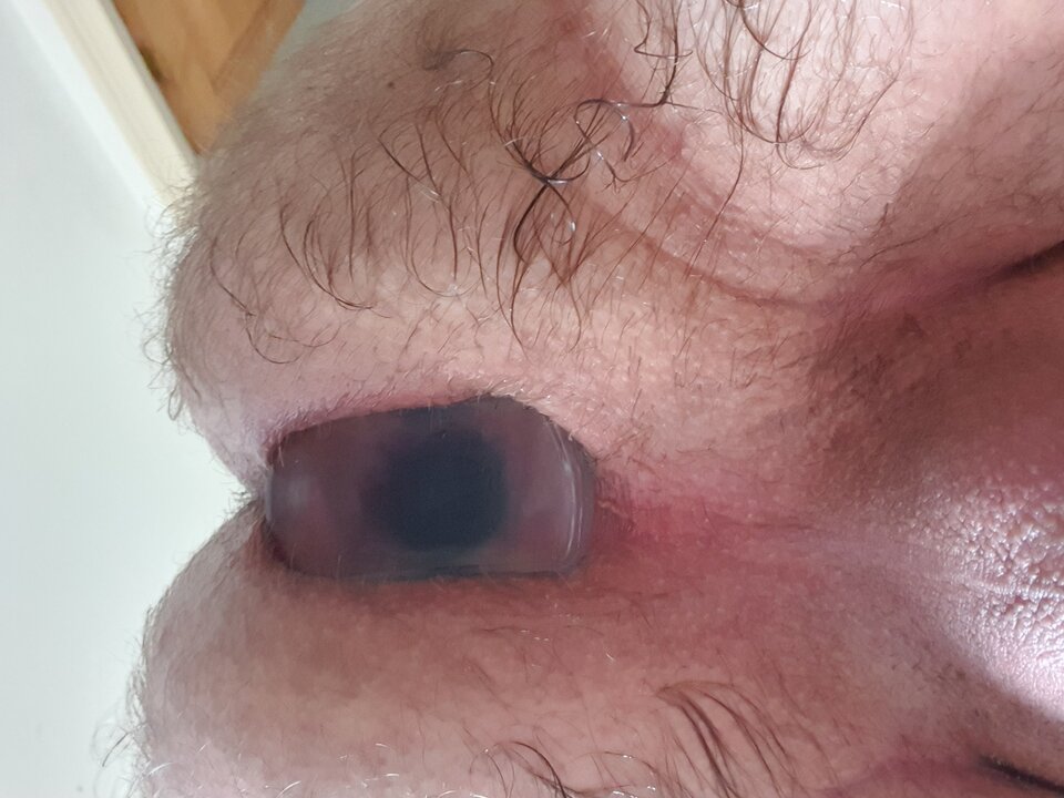 20201008_151030.jpg - DildoloverUk