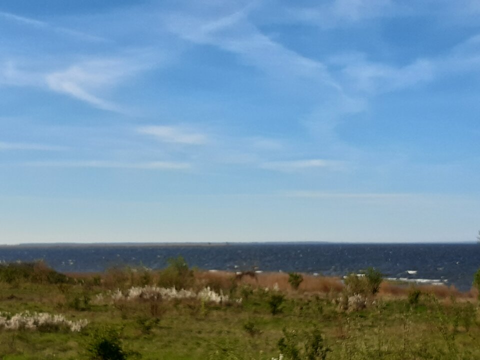 20240411_085050.jpg - misiu1969