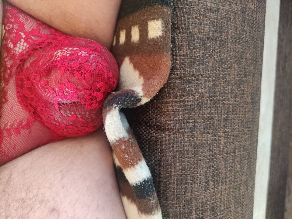 IMG_20240411_101215.jpg - krzyssuu