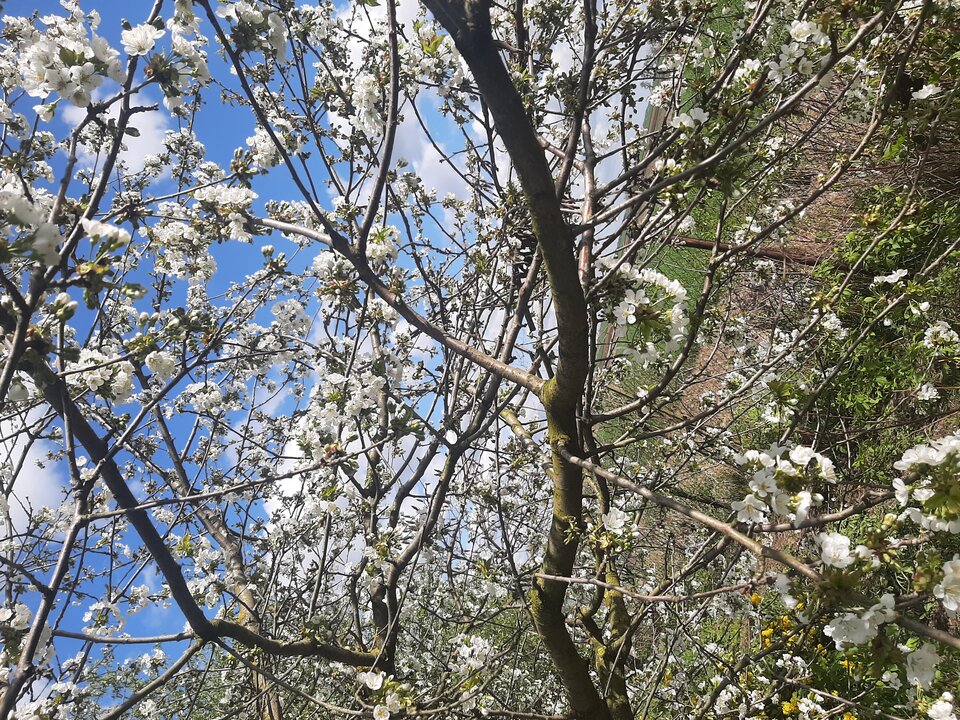 20240411_112828.jpg - Krzyszto1234