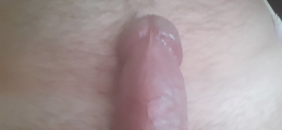 20240411_173011.jpg - MichalOpO40