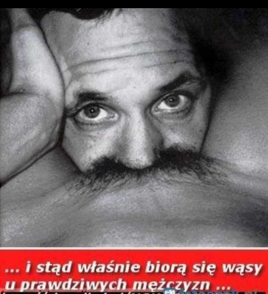 IMG-20240412-WA0003.jpg - Mik62