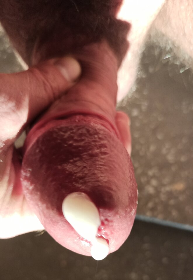 Gęsta, pełna kijanek.jpg - KolekcjonerMajtek