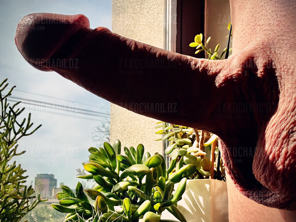 Kutas w kaktusach 🌵 - ZakochaniLDZ