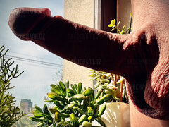 Kutas w kaktusach 🌵