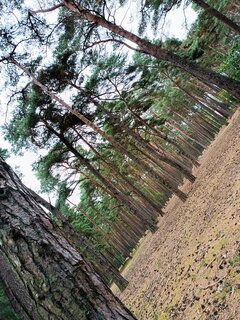 Natura bo takie jej imię...