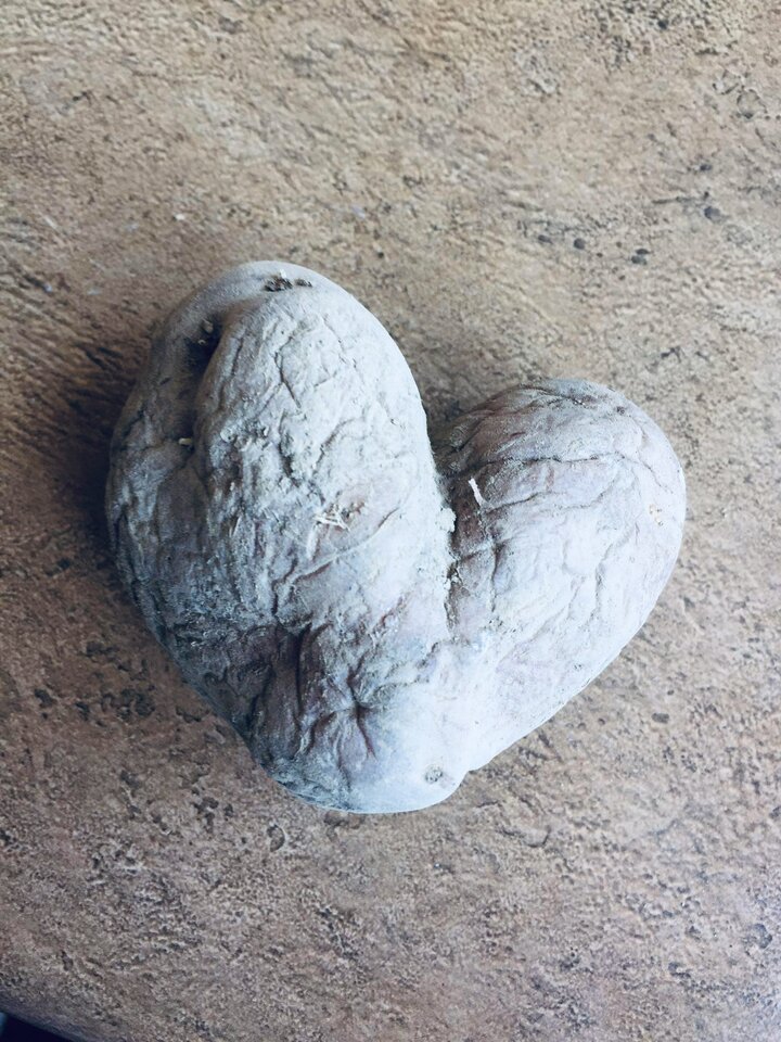 IMG_9732.jpeg - May_Day