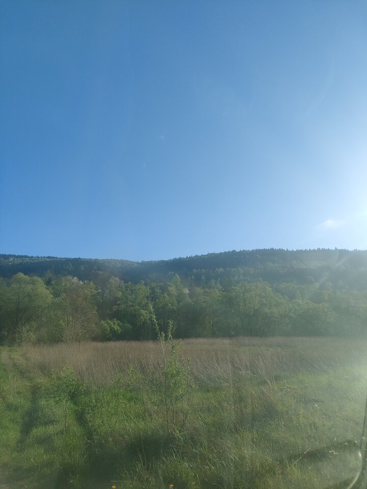 17129364262009067185291430921624.jpg - Blondynek1234