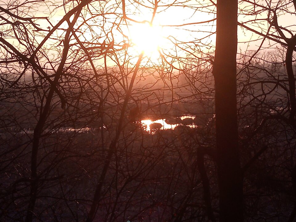 6B0636C7-B864-4E22-8F62-BC0DBB3DE960.jpeg - DonKichot82