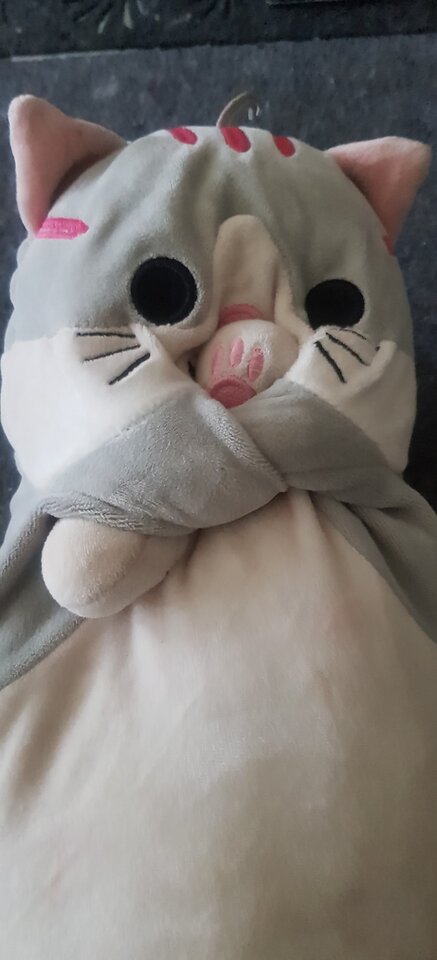 20240413_101529.jpg - TransKitty