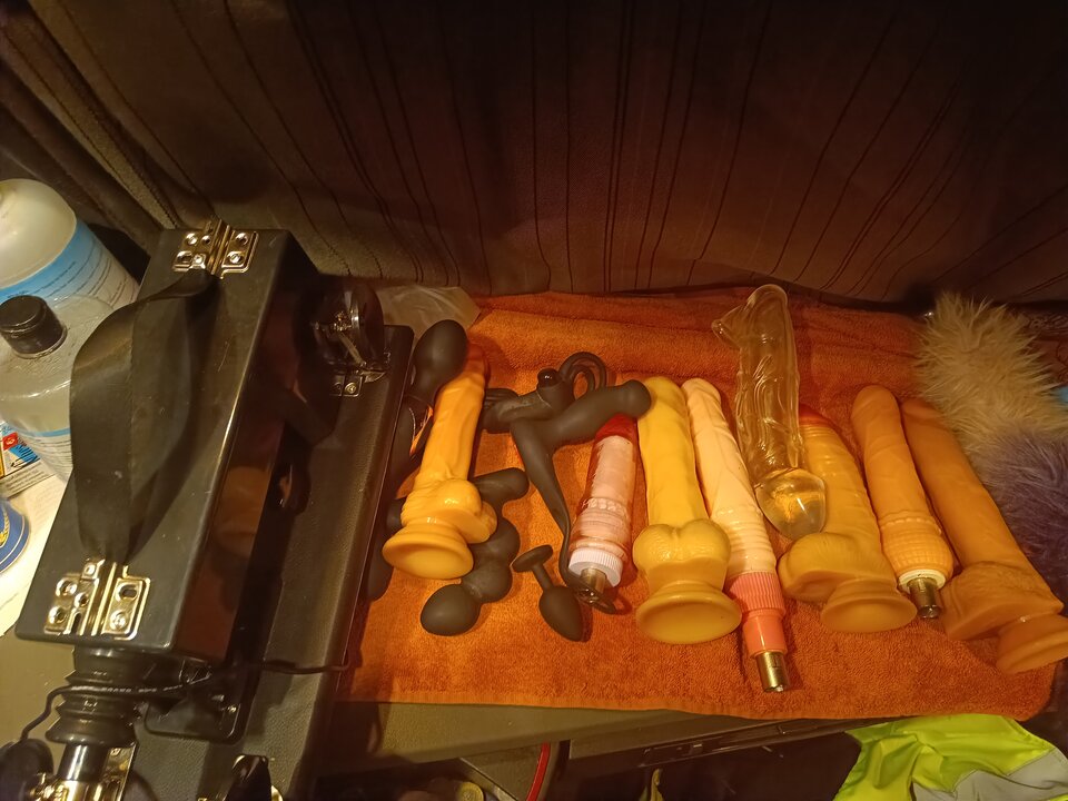 17130344540833618144878880466634.jpg - Kasju