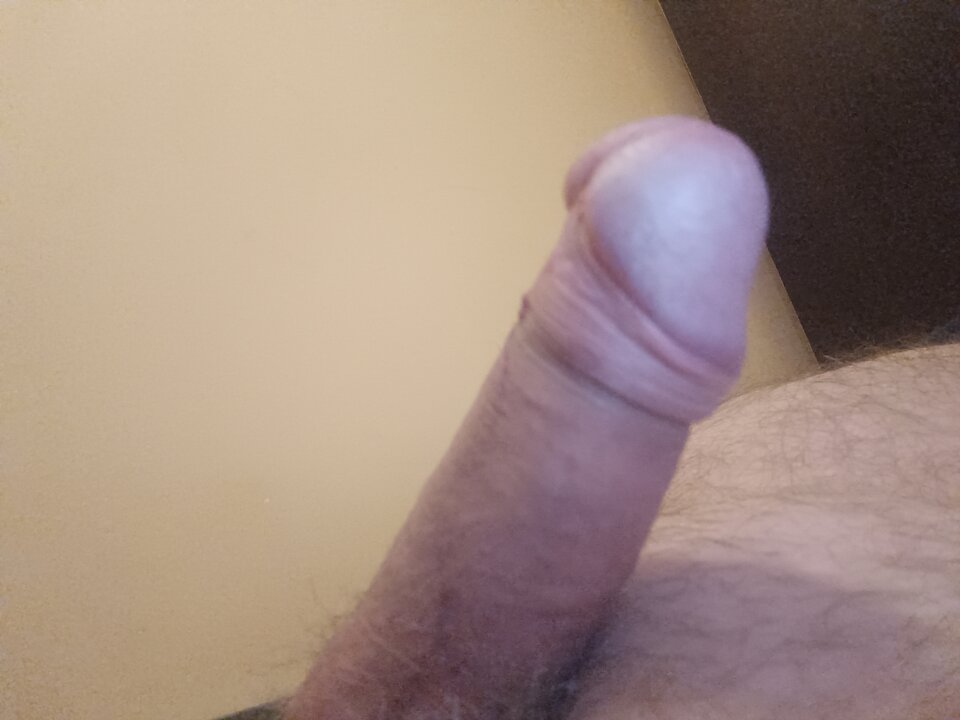 17130373388787048602226860607135.jpg - ardas1