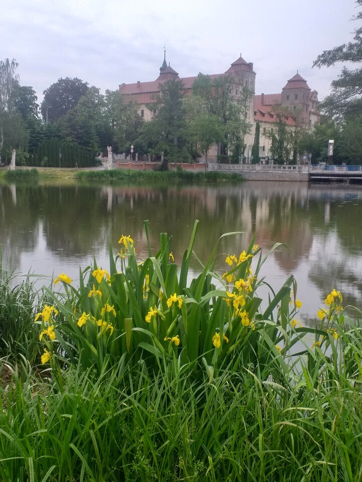 polecam.... :-) - DarMaj71