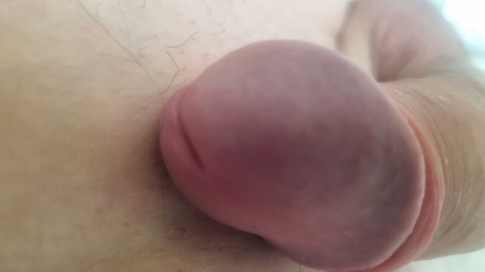 20240414_085510.jpg - Arture1234