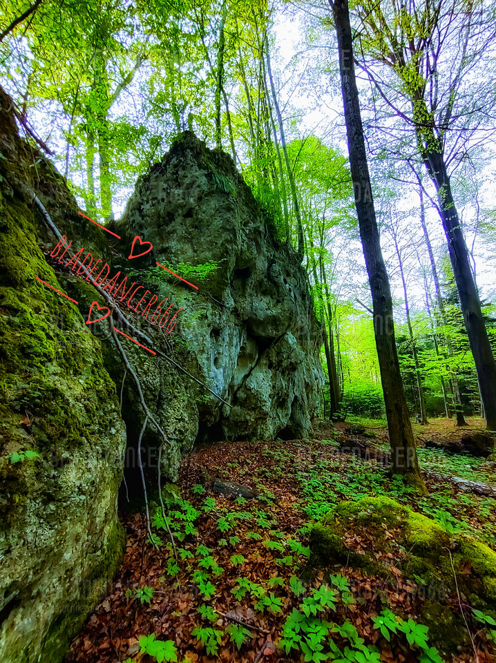 1000033071-01.jpeg - Bladedancer666