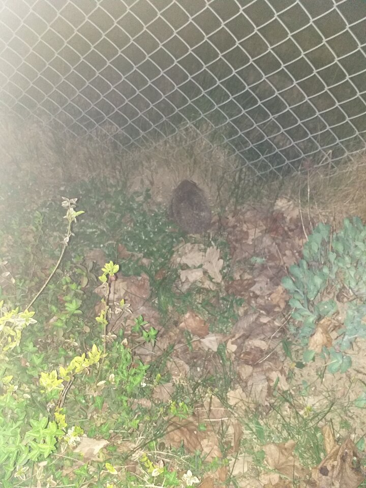 20240413_195115.jpg - BP74