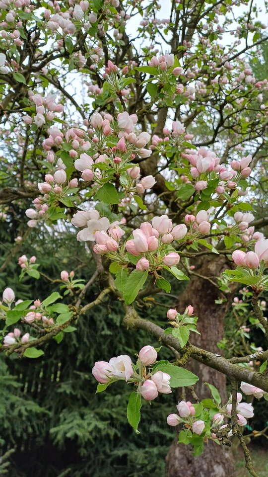 1000005535.jpg - krzysm16