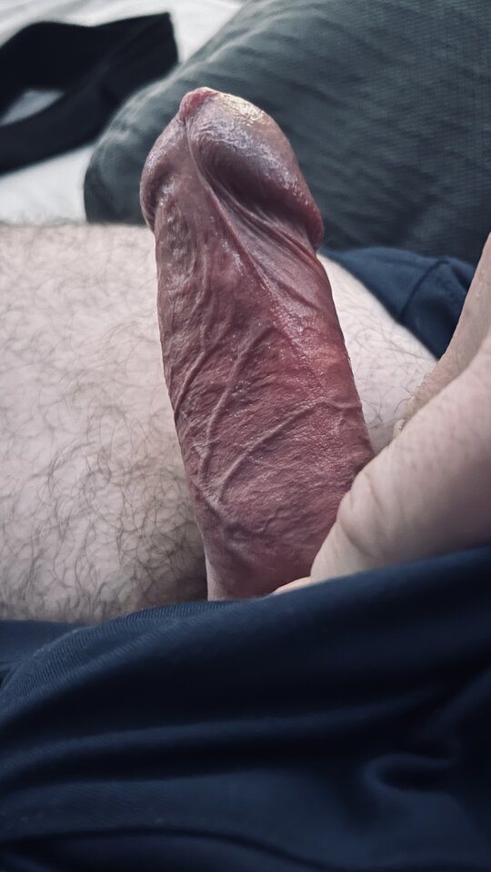 IMG_0583.jpeg - bondjames728