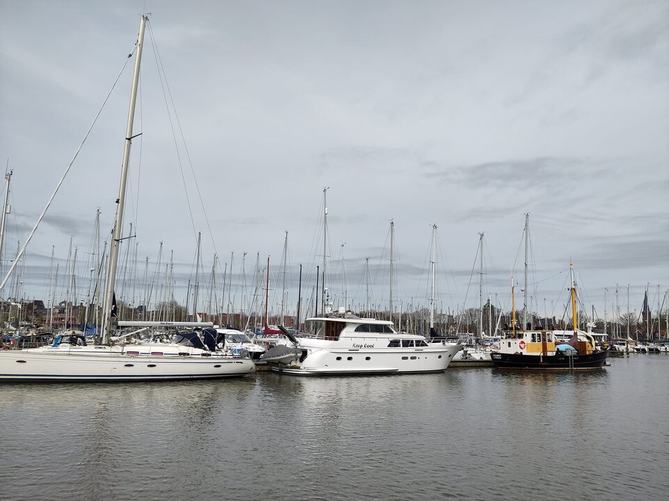 Hoorn koło Amsterdamu. - falcons