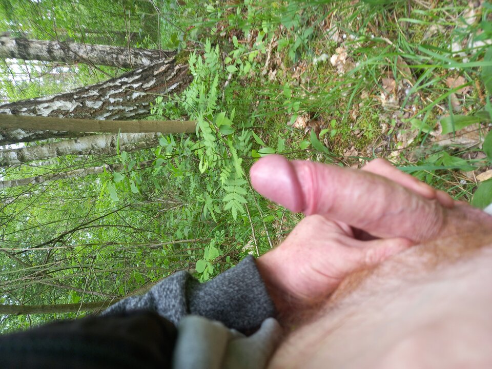 20240414_130914.jpg - Vmax436