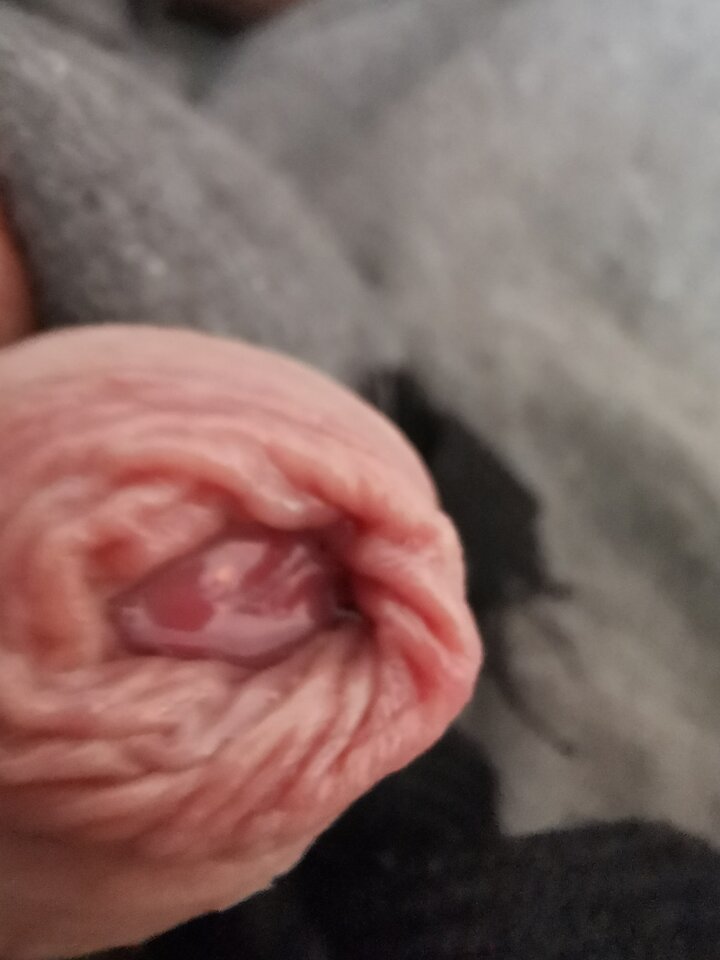 IMG_20240414_142124.jpg - Zi0001