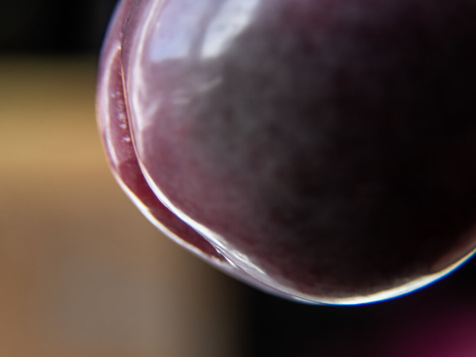 makro 2.jpg - Fotoizer