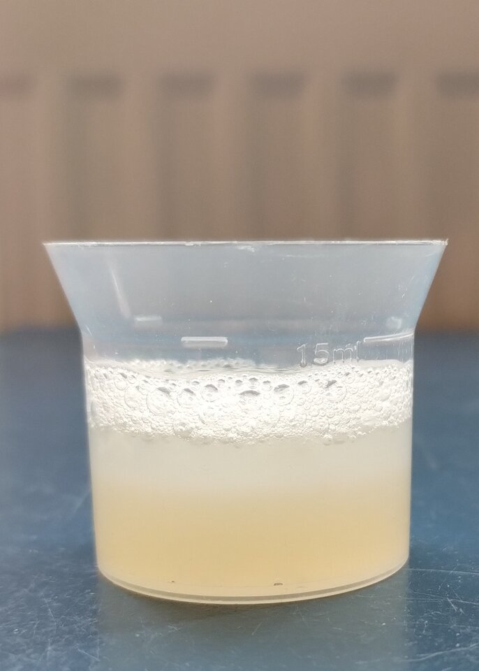 IMG_20240415_143929176~3.jpg - dawcarozkoszy84sprawdzto