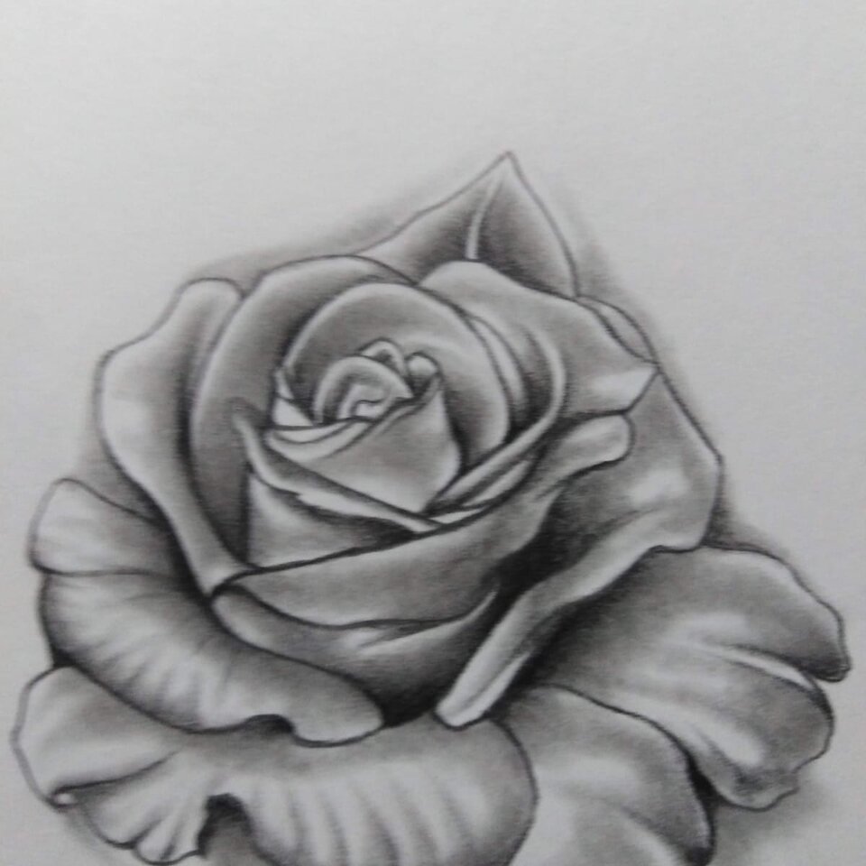 IMG_20230108_220025_532.jpg - Pioterrrt