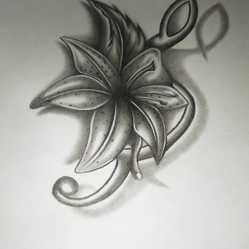 IMG_20230108_220104_355.jpg - Pioterrrt