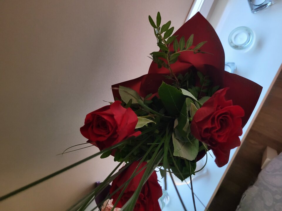 20240308_164845.jpg - ginalovee
