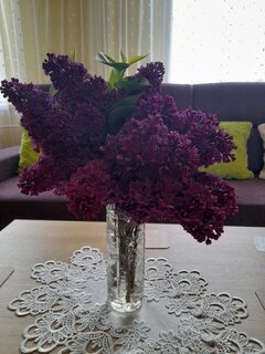 ... uwielbiam BEEEZ nie mylić z kwiatami :-)